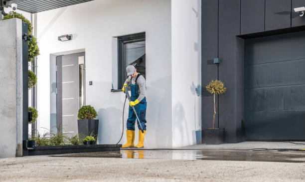 Best Graffiti Removal  in Orleans, IN